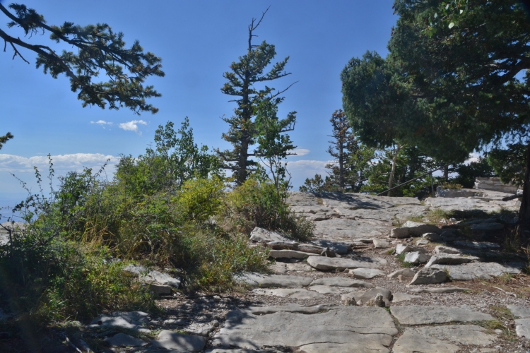 Sandia Crest lookout